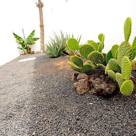 Villas Kalendra, Rofe, Lanzarote Guatiza 外观 照片