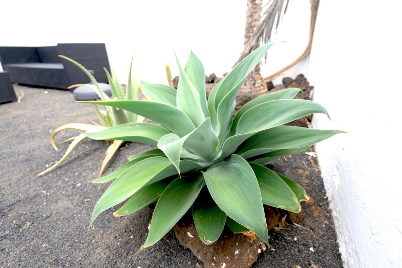 Villas Kalendra, Rofe, Lanzarote Guatiza 外观 照片