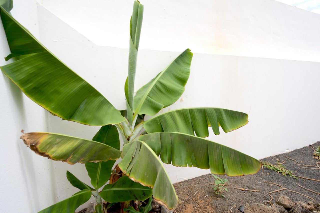 Villas Kalendra, Rofe, Lanzarote Guatiza 外观 照片